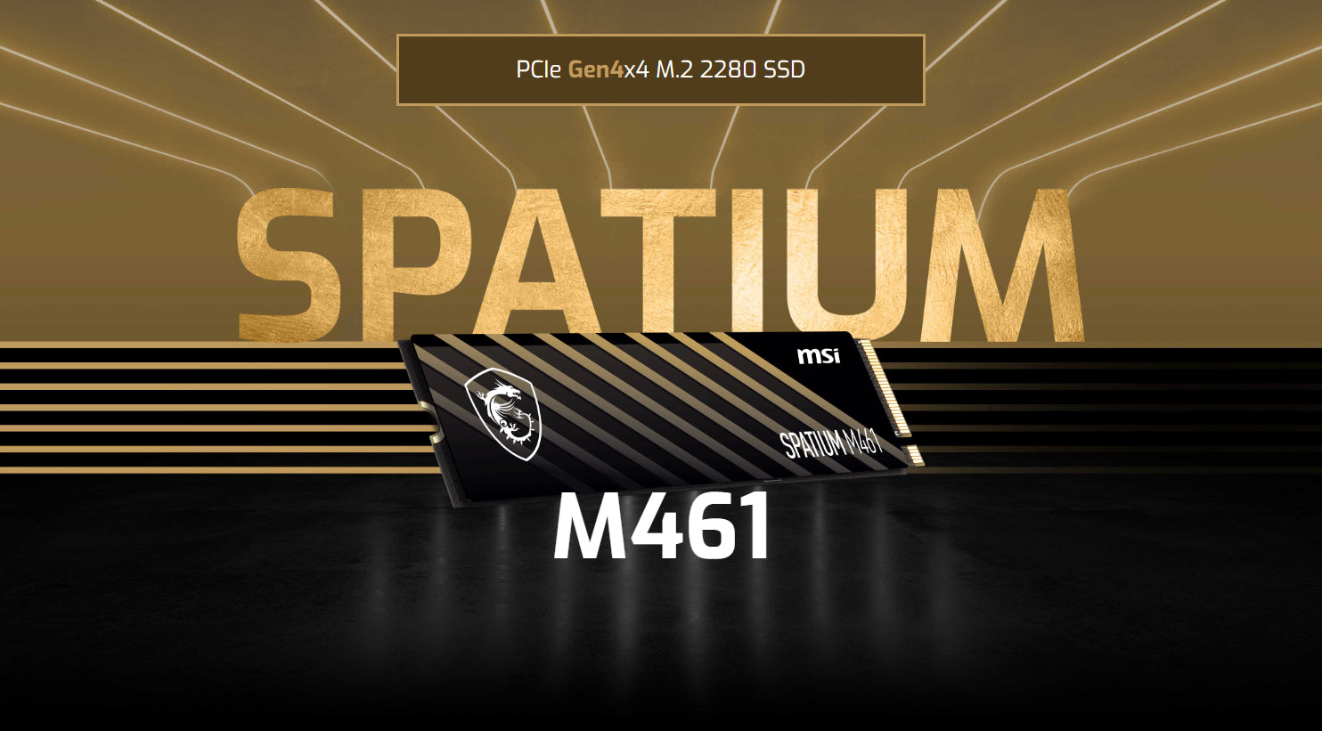 SPATIUM M461 PCIe 4.0 NVMe M.2 2TB — MSI Store | 微星品牌旗艦館