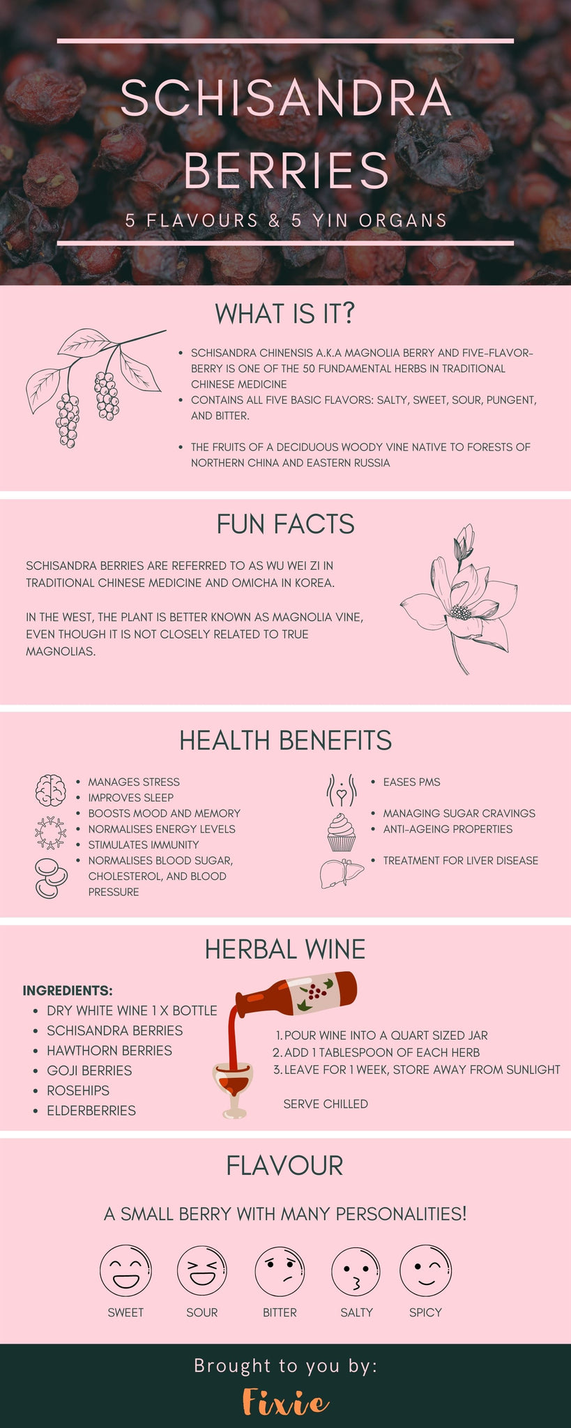 Schisandra berries, the miracle berry, an Infographic