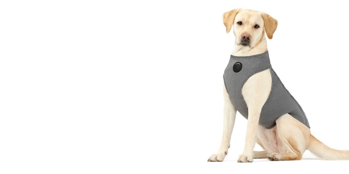 Casa para perros a prueba de ruido diseñada para cachorros ansiosos