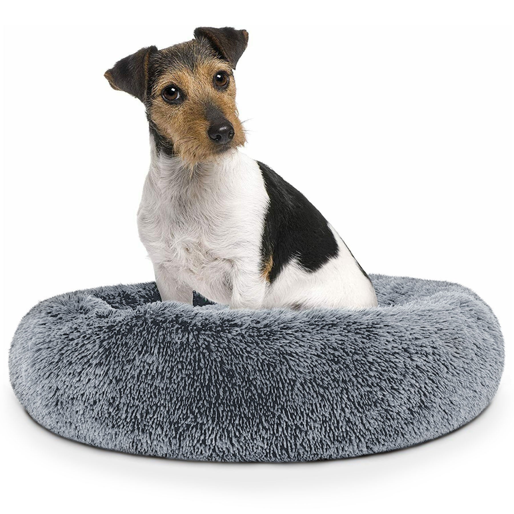 Cama Antiestrés Para Perros - Furbedz product image