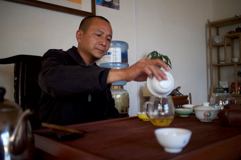 Steeping a sheng pu'er - gushu from Laobanzhan