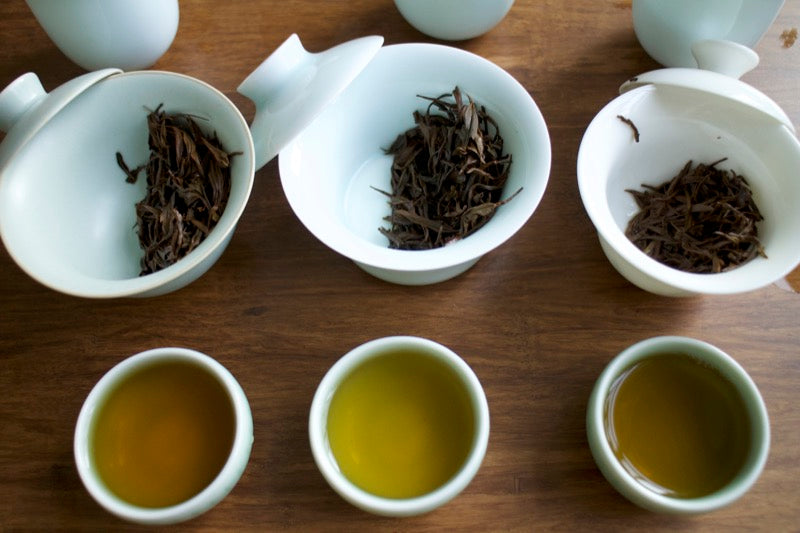 Sichuan tea tasting