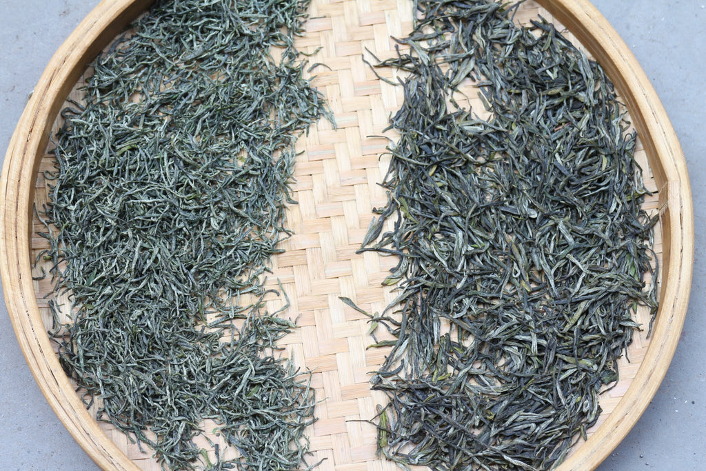Chinese green tea Xinyang Maojian