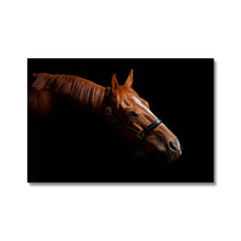 Load image into Gallery viewer, Stretch II Elegant Chestnut Horse Canvas Print
