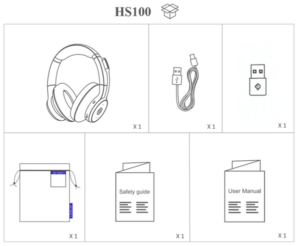 Wireless Headset HS100 with Mic