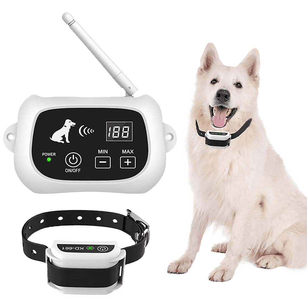 Best wireless dog fence with GPS dog collar