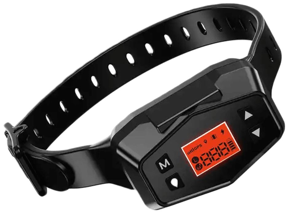 gps dog fence, dog fence gps collar