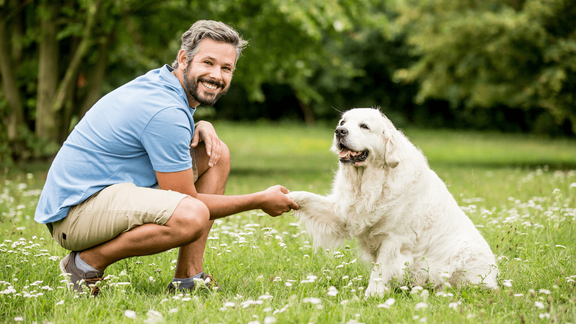 Happy man in blue shirt holding hands with his dog