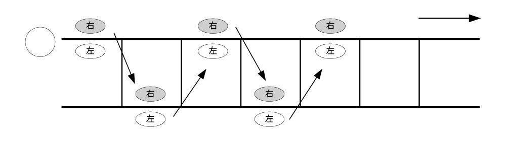 ラダートレーニング スラロームジャンプ（前進）