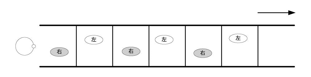 ラダートレーニング ケンパ