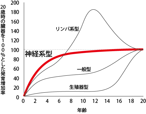 ゴールデンエイジとは 子供の運動神経がググっと伸びる黄金の成長期 Fungoal