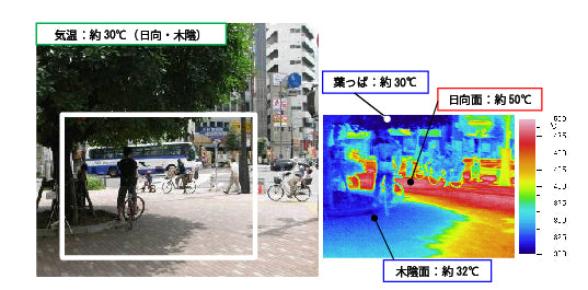 日かげと日向の温度差