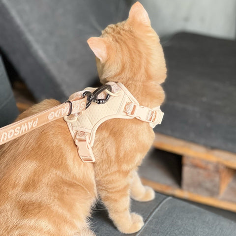 Pet Harness Dog Harness Cat Harness