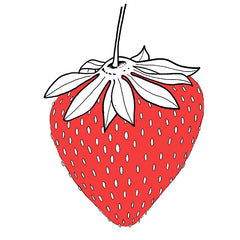 illustration erdbeere