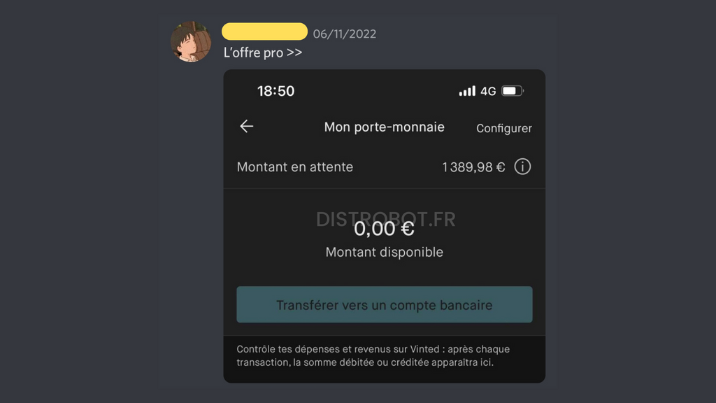 Capture d'écran d'un avis et du porte-monnaie Vinted d'un internaute pratiquant l'achat-revente sur Vinted.