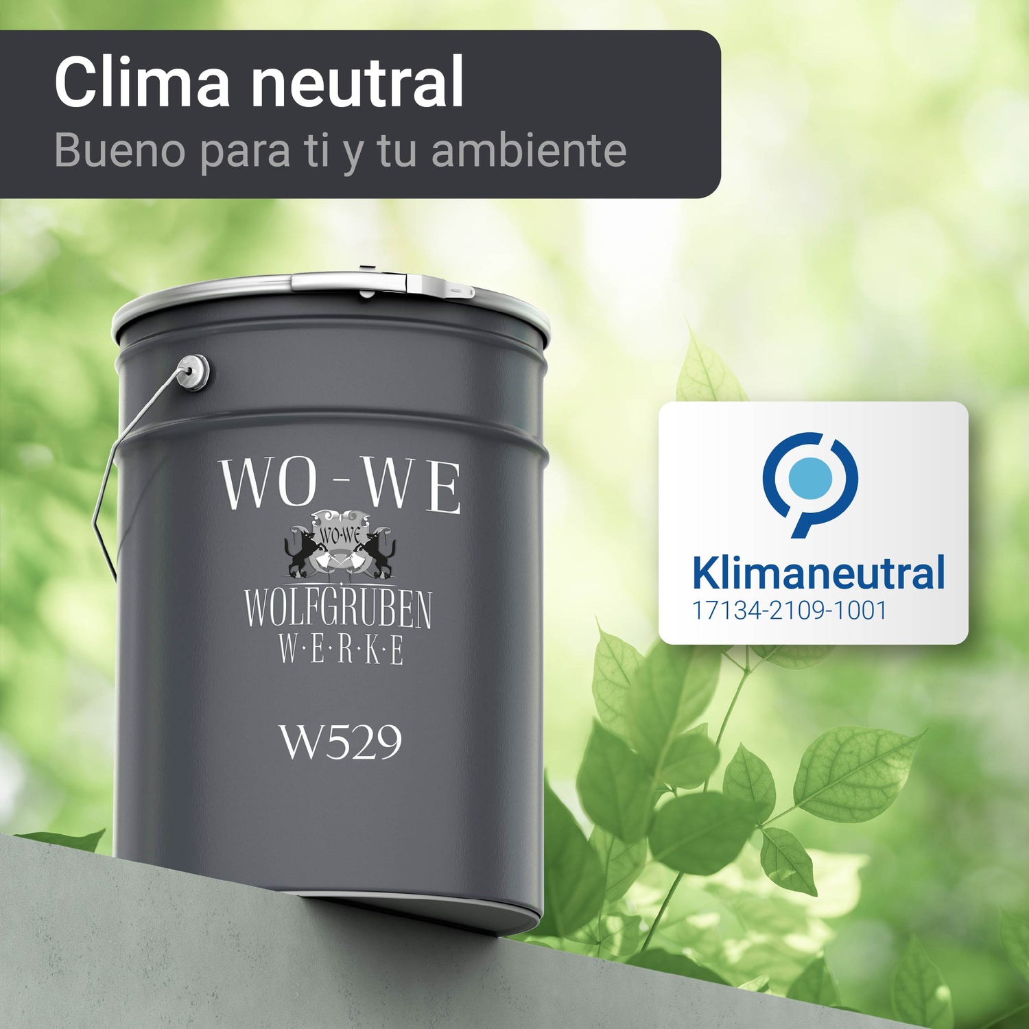 Pintura aislante térmica interior para paredes y techos W529 5-20L