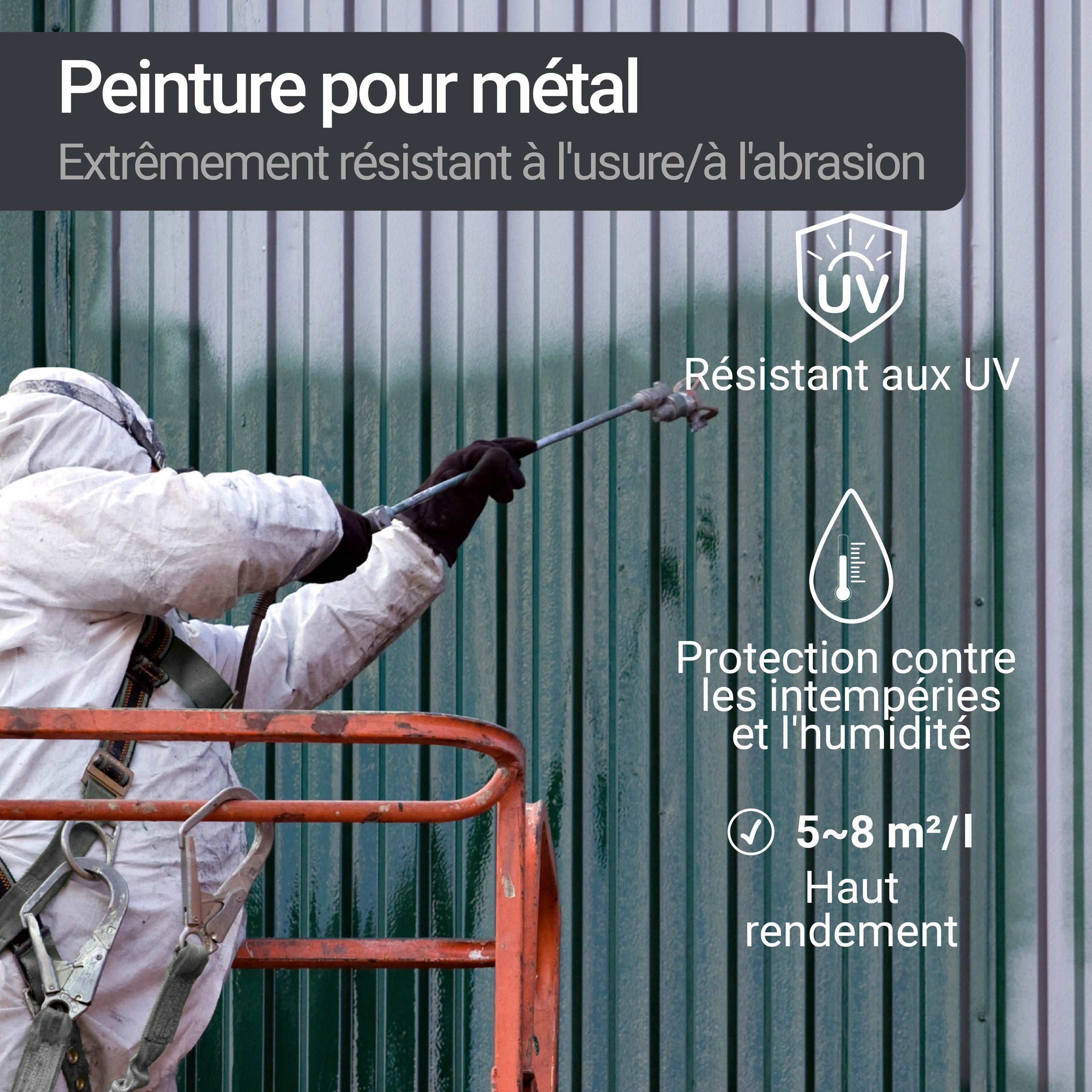 Peinture Fer Metal pour protéger et décorer W900 1-5L