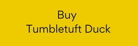 Buy Jellycat Tumbletuft Duck
