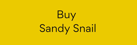 Buy Jellycat Sandy Snail 