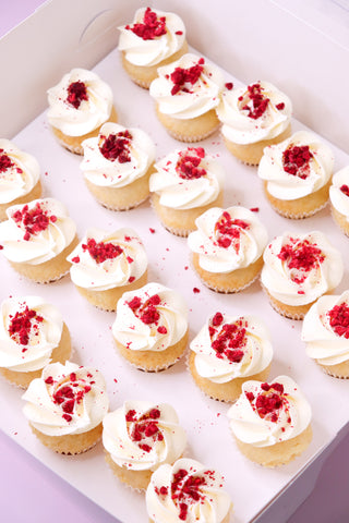 Vanilla mini cupcakes with freeze dried raspberries