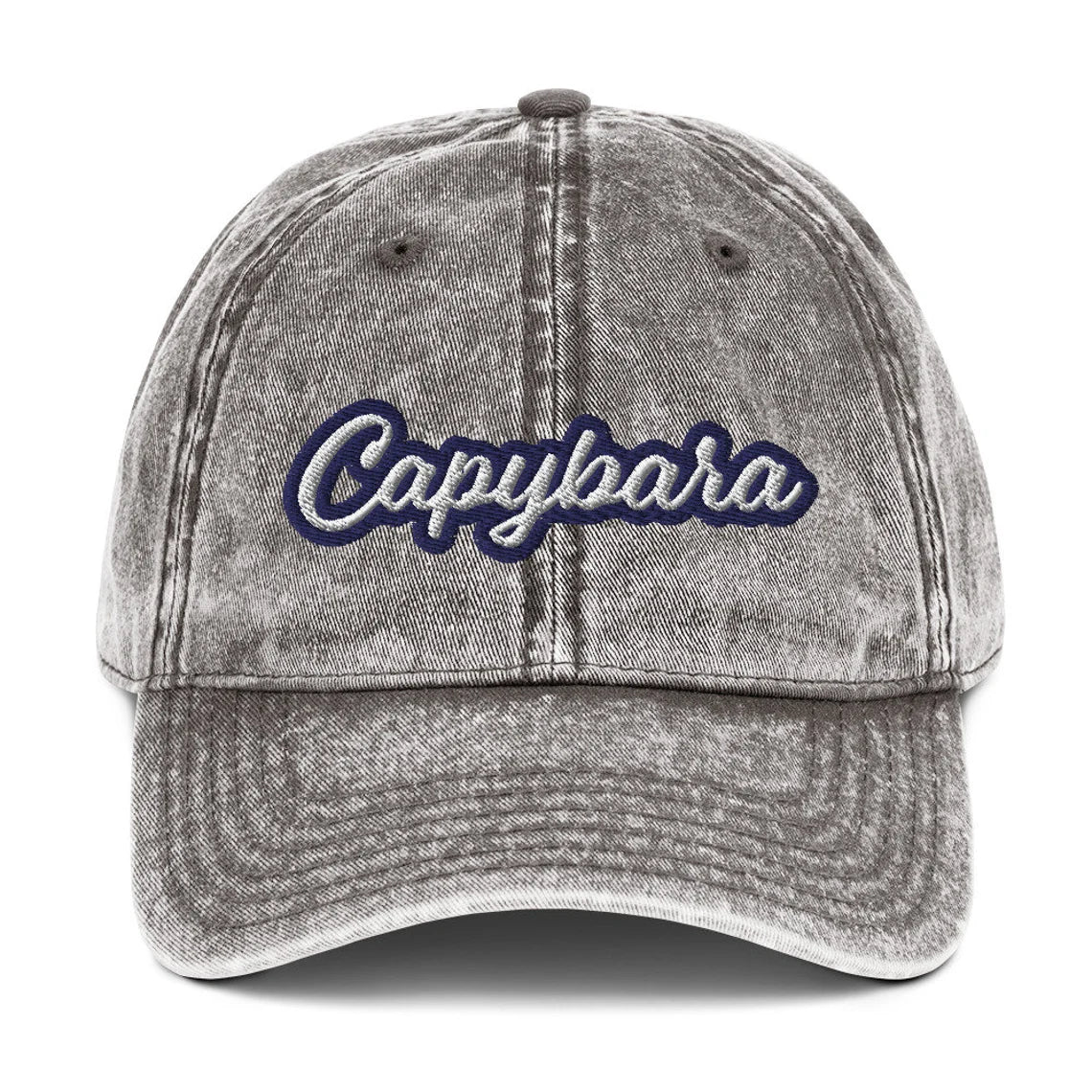 Capybara Vintage Dad Hat – ninanush