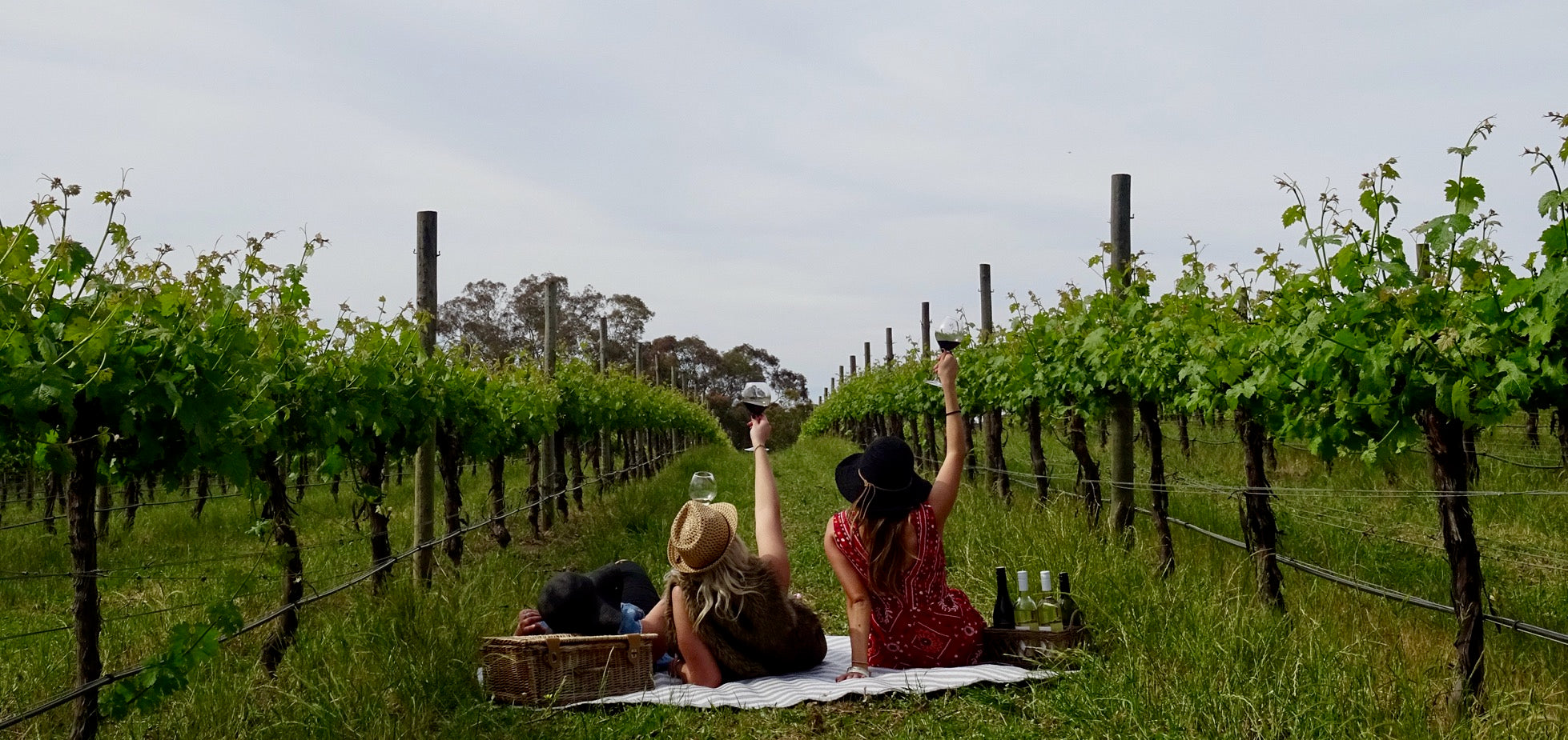 Krystallo Estate, Krystallo, Contact Us, High Country Victoria, Get In Touch, Winery, High Country Winery, Contact Us