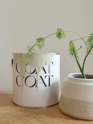Pot de peinture non toxique COAT placé à côté d'une plante verte d'intérieur