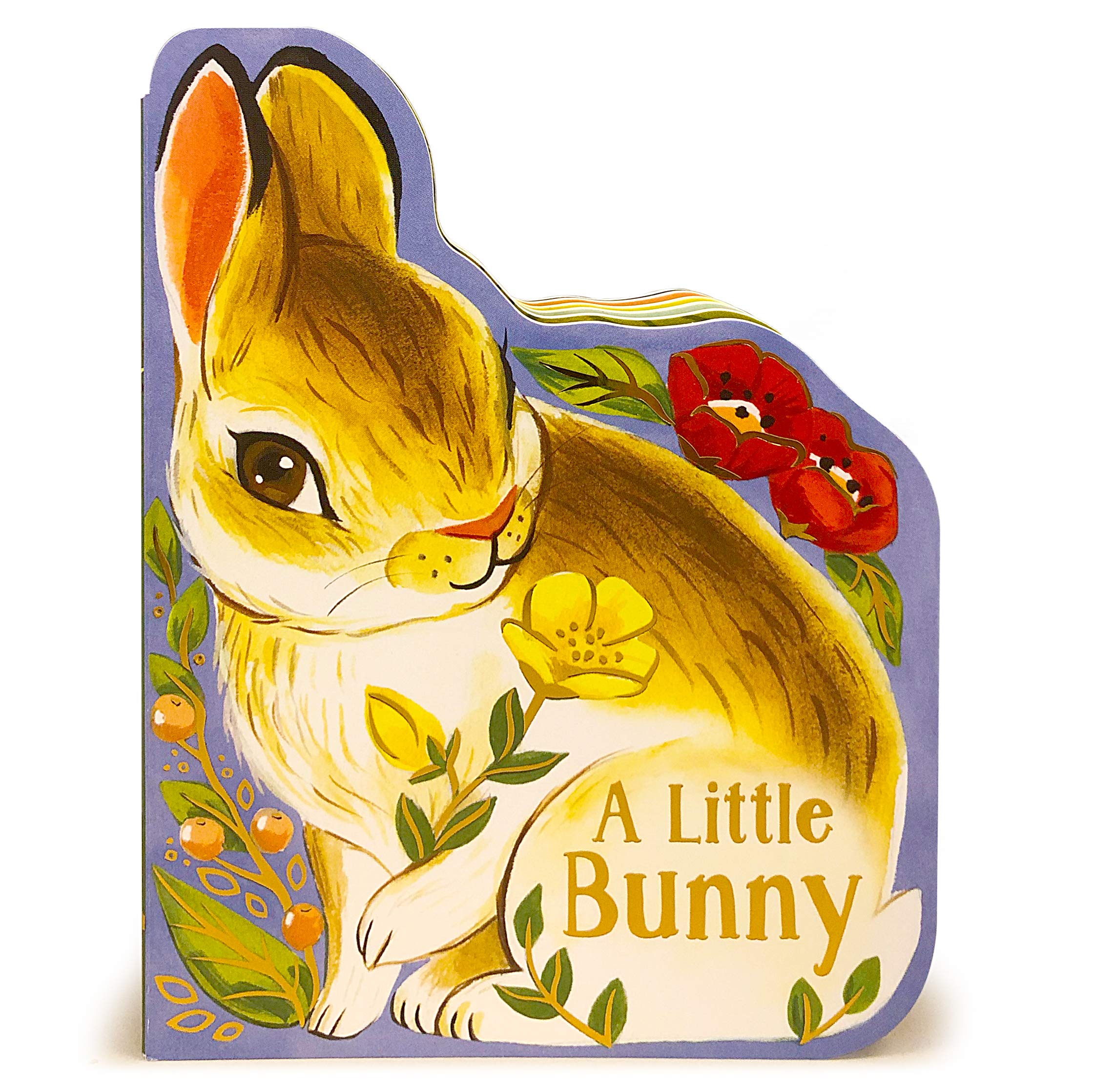 A Little Bunny Board Book