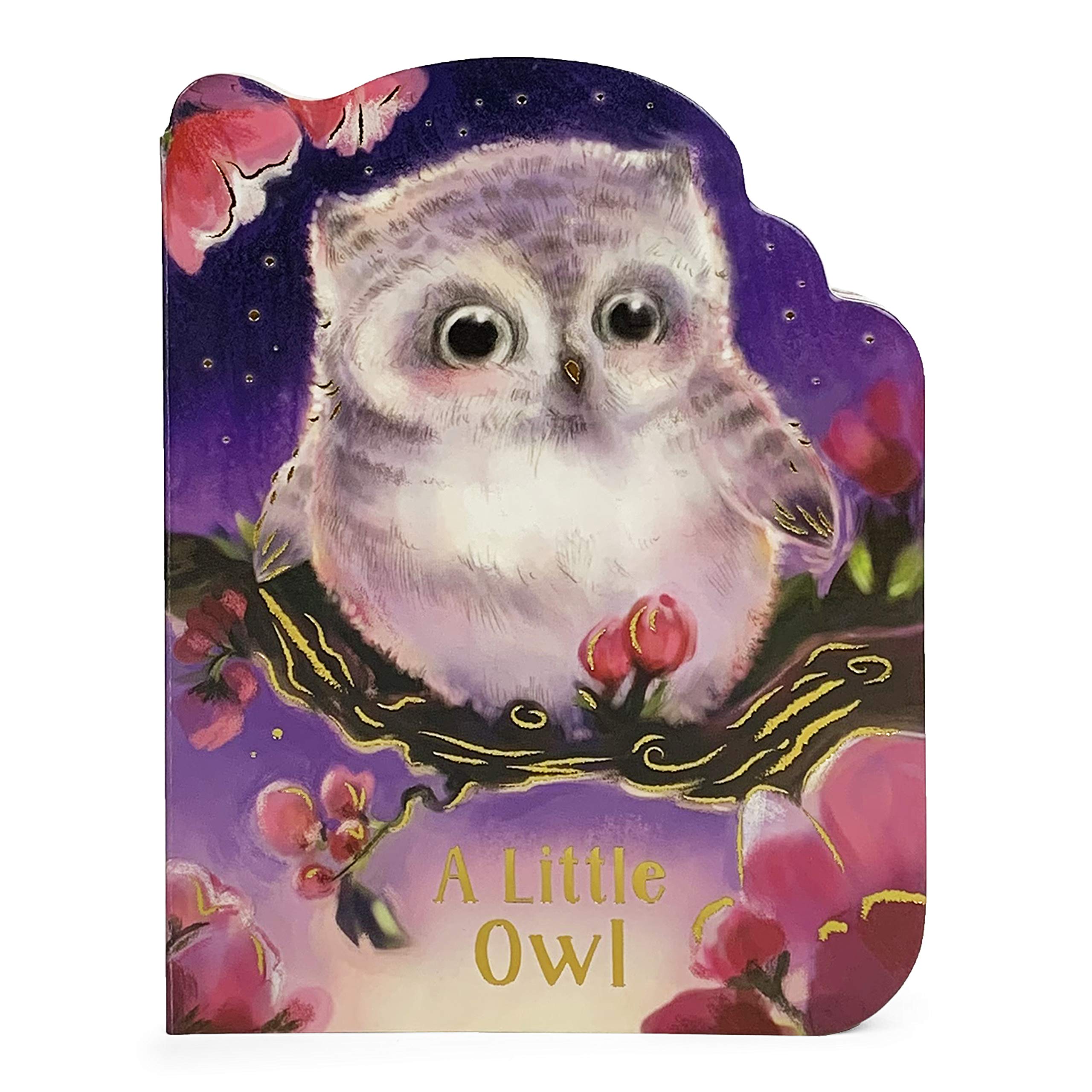 A Little Owl Board Book