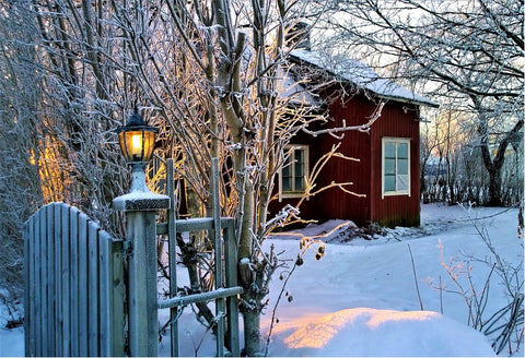 Winterlicher-Garten-rotes-Haus