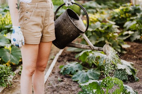 Frau-bewässert-Garten