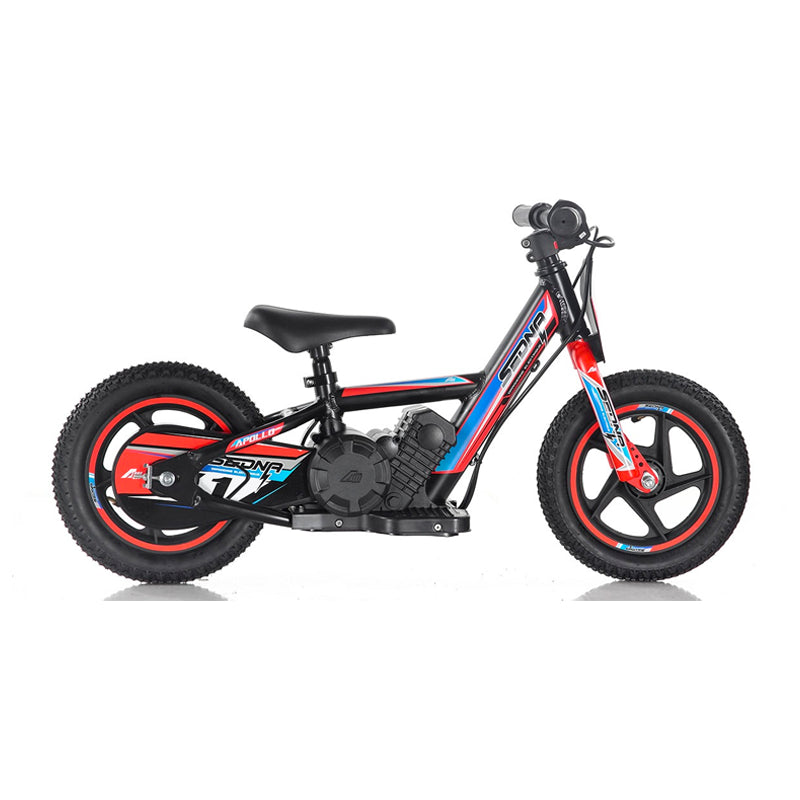 Sur-Ron Ultra Bee 12500W 2023 74v 55Ah Battery Electric Bike – E-Biker Net  LLC