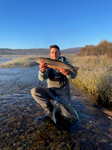 Bailey with a beautiful Euc rainbow.