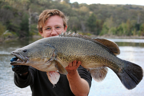Robbie has been cleaning up on the cod during daylight hours on the ‘bidgee’ too.
