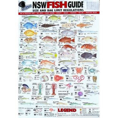 Fishing Books / Guides – Boss Outdoor