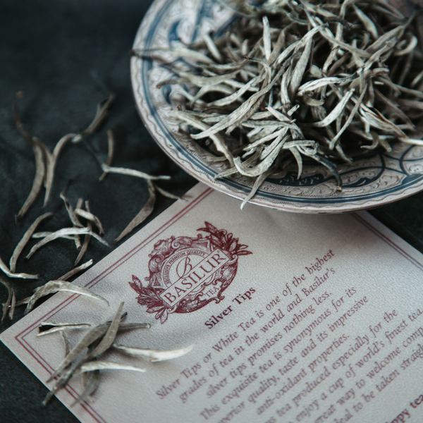 Photo of an exclusive tea composed of Silver Tips leaves.