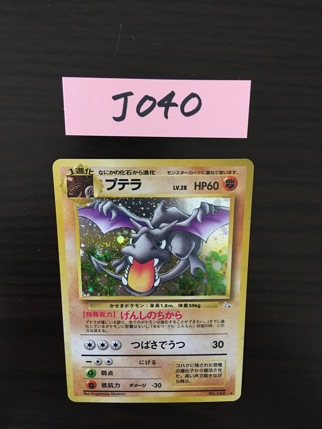 J 040 Aerodactyl