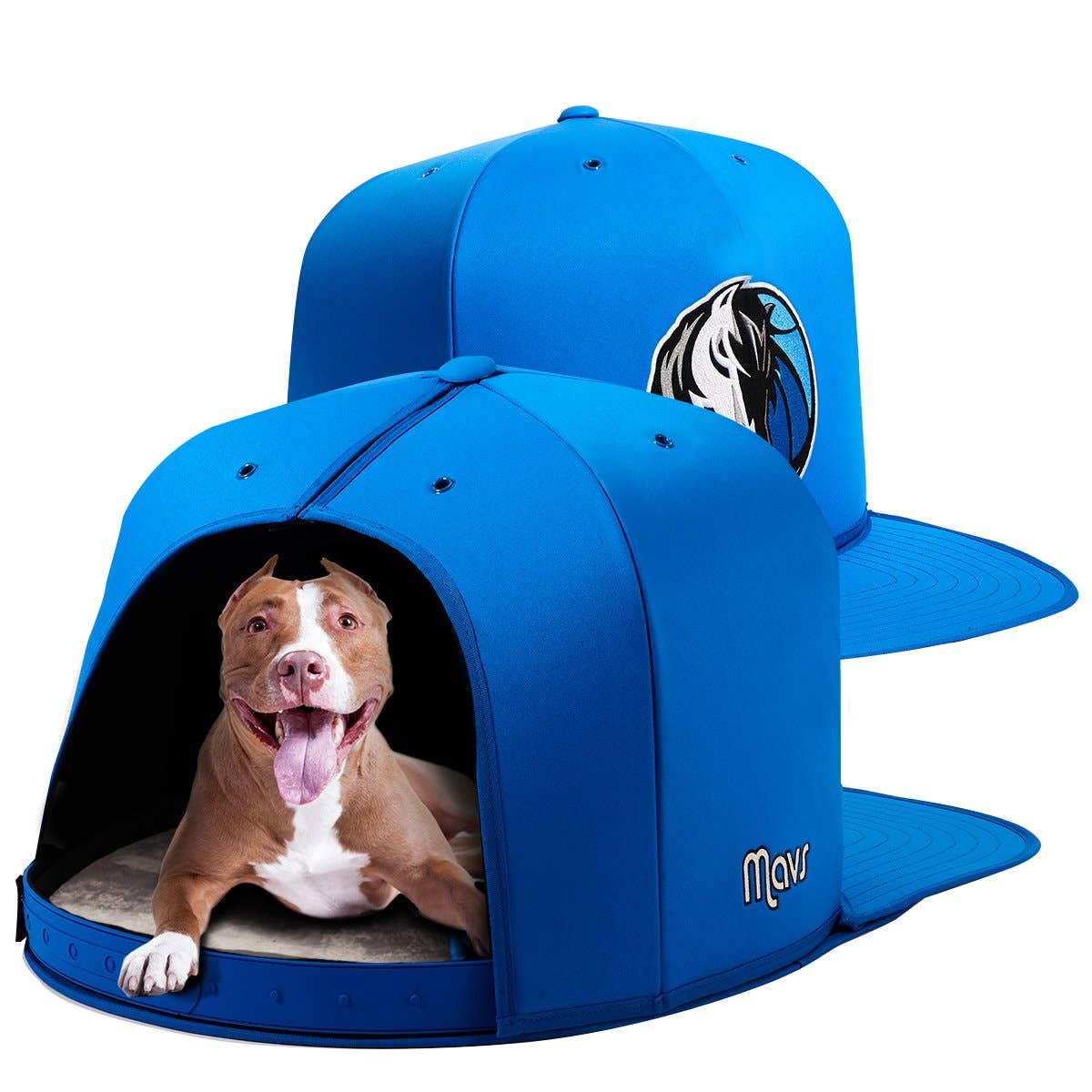 yankees pet nap cap