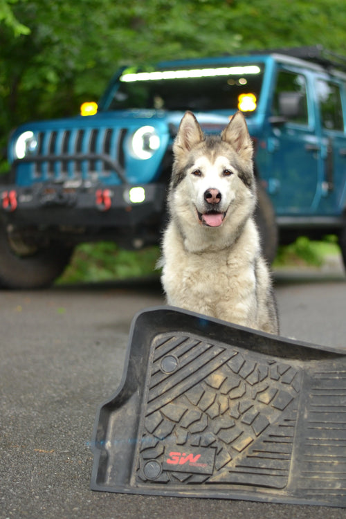 best floor mats for cars