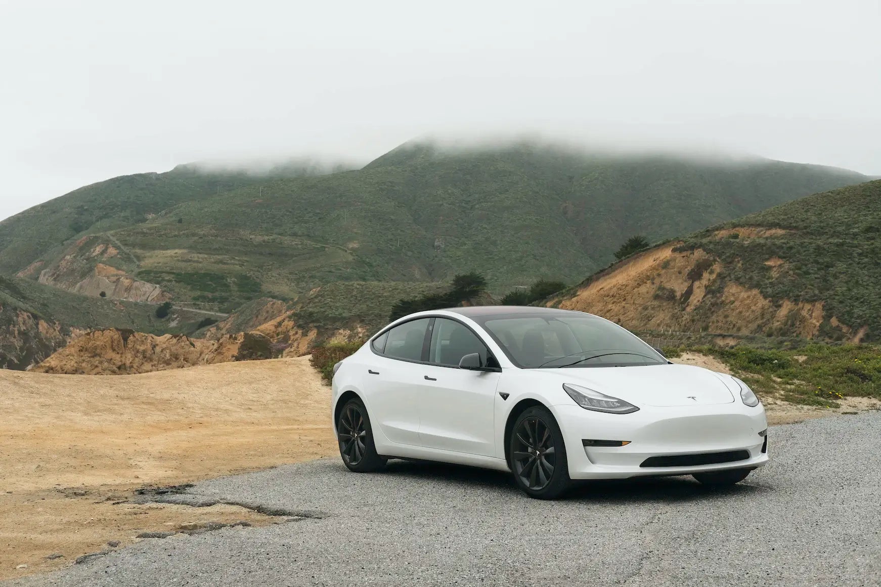 3w tesla model y floor mats