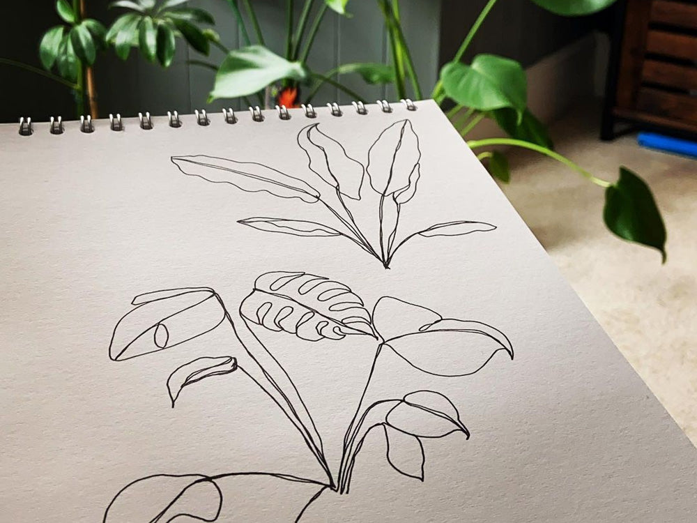 Botanical line drawing in a white sketchbook near a plant.