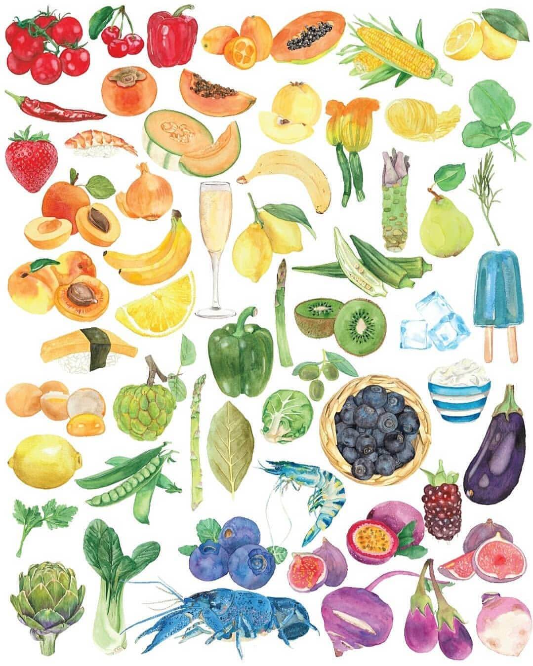 Banner image of Sara Brenton's rainbow food illustration designs on paper.