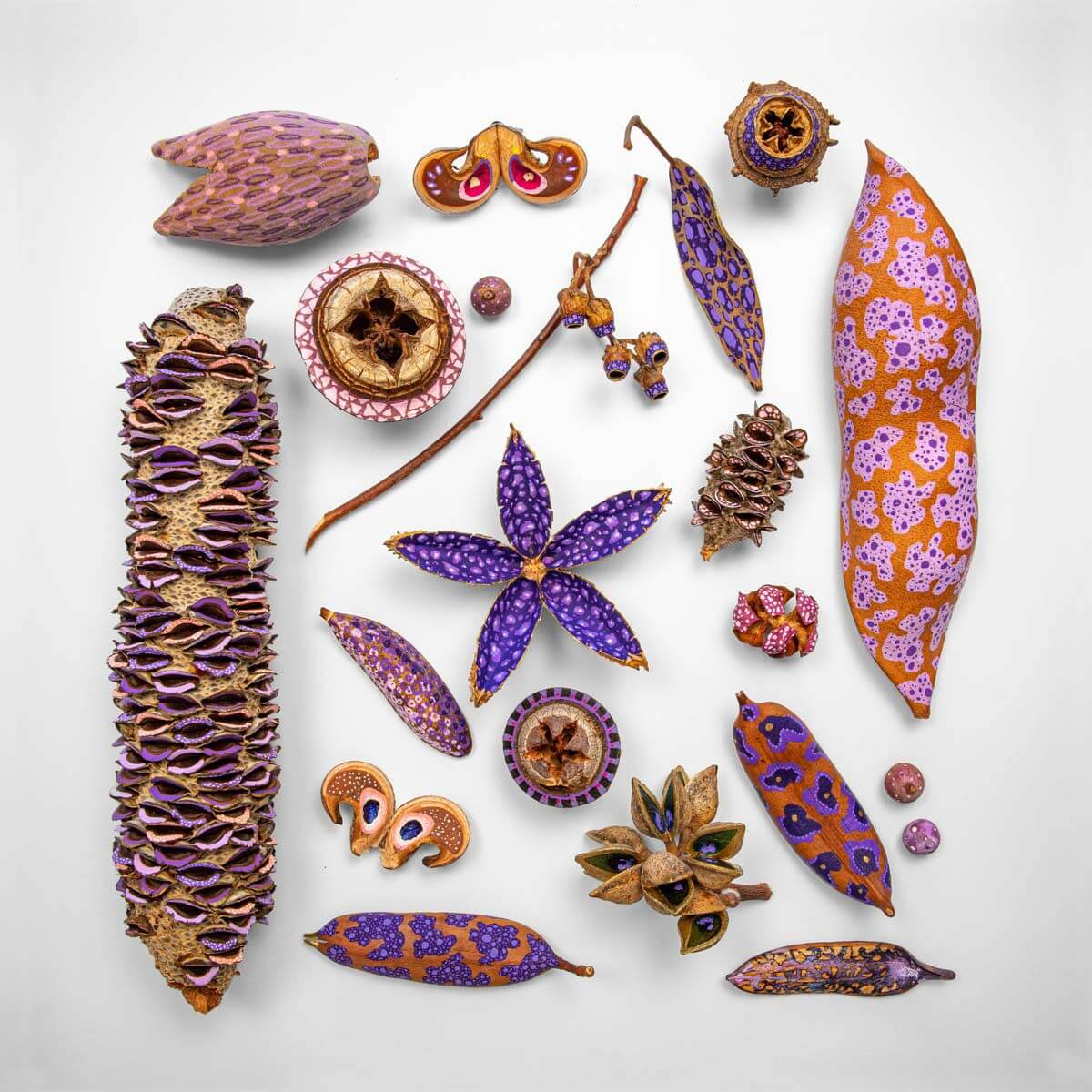 1. Collection of various seed pods, leaves and tree matter painted with bright designs.