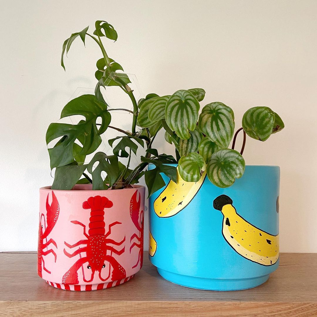 Two bright, pop art style coloured pot plants side by side with green plants growing inside.