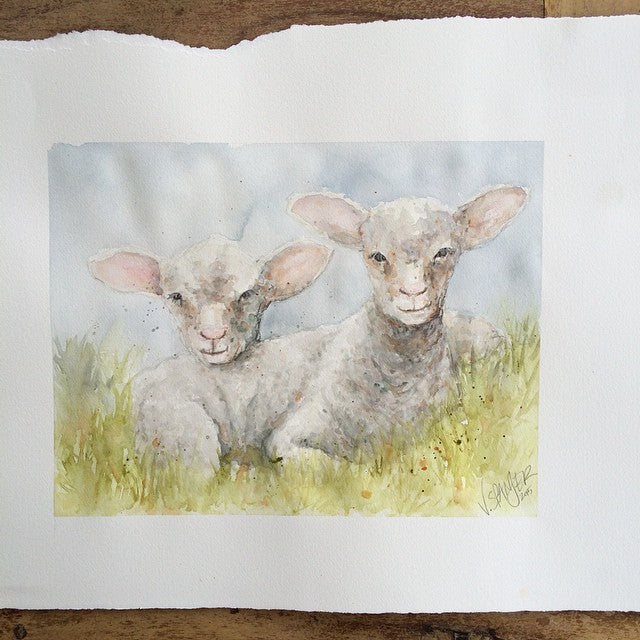 A realistic watercolour artwork of two sheep on white paper.