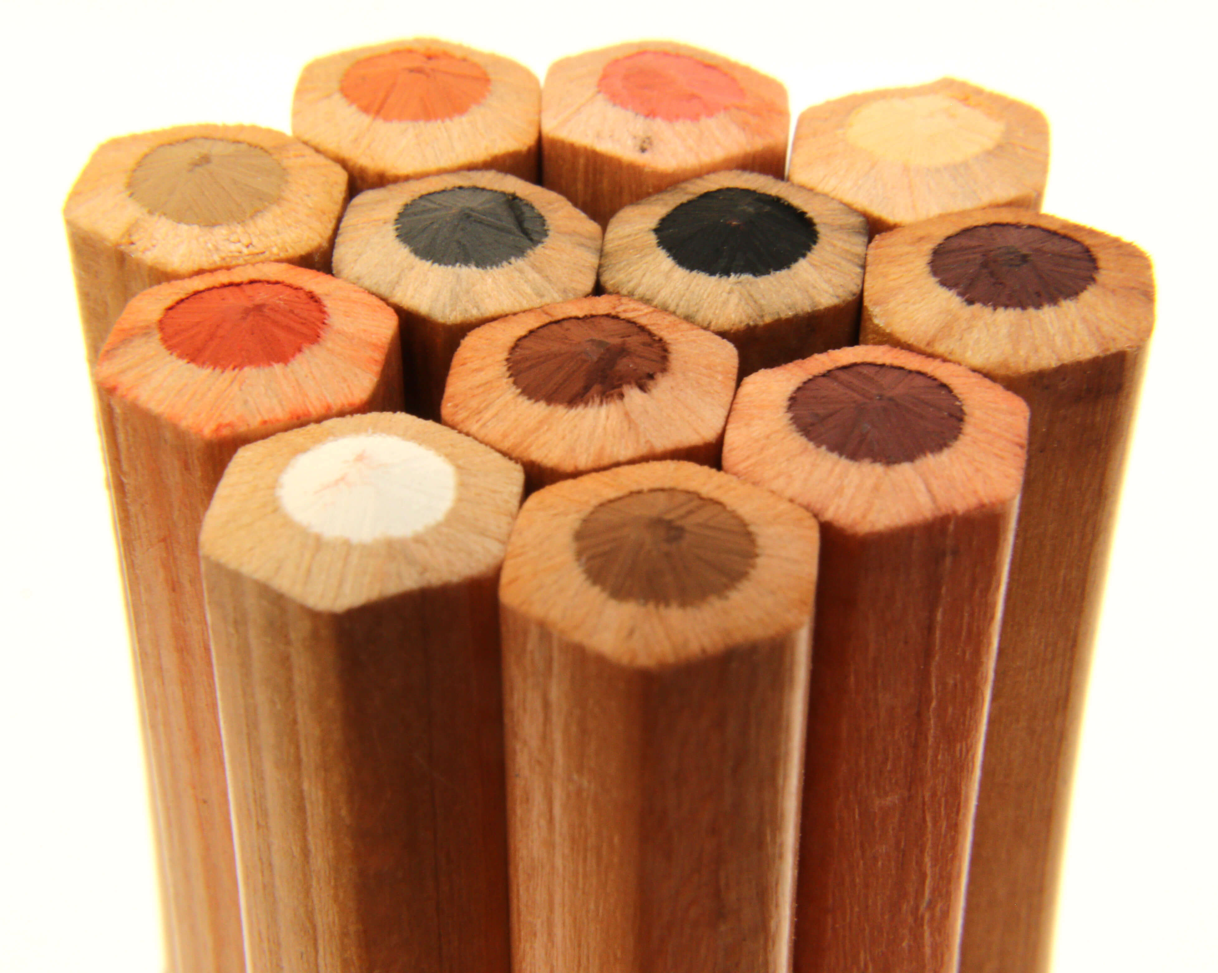 Pastel pencils with the leads pointing upwards to show the coloured lead strips inside the pencil's wooden case.
