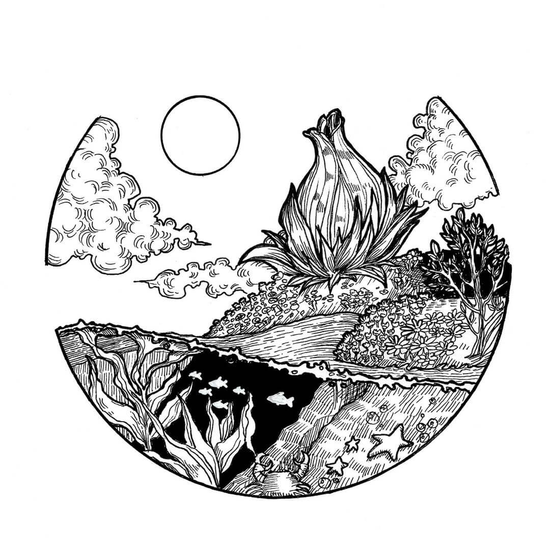 A drawing in black marker of underwater plants with a sun above and fish underneath.