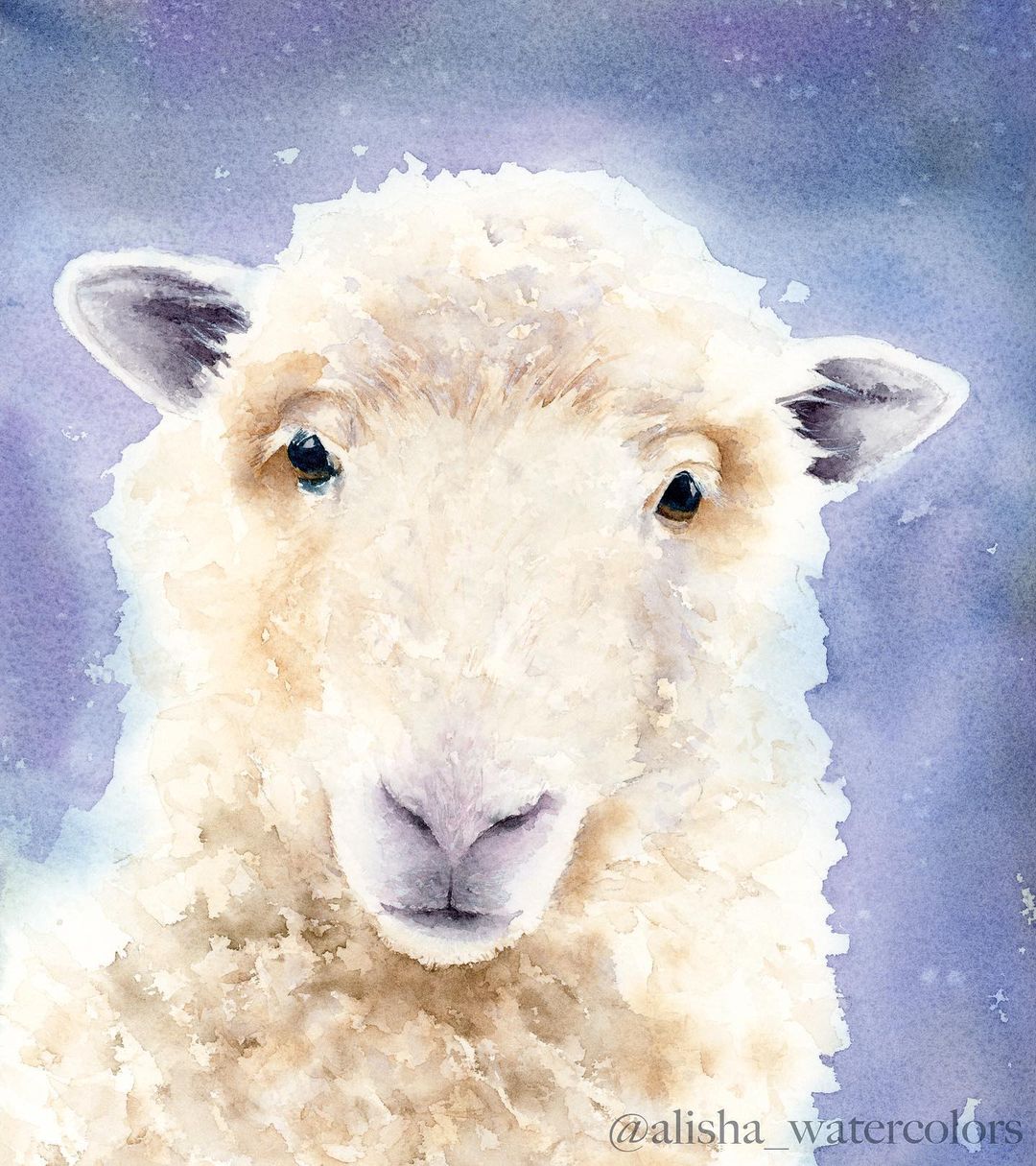 A watercolour sheep painting with a pruple wash background.