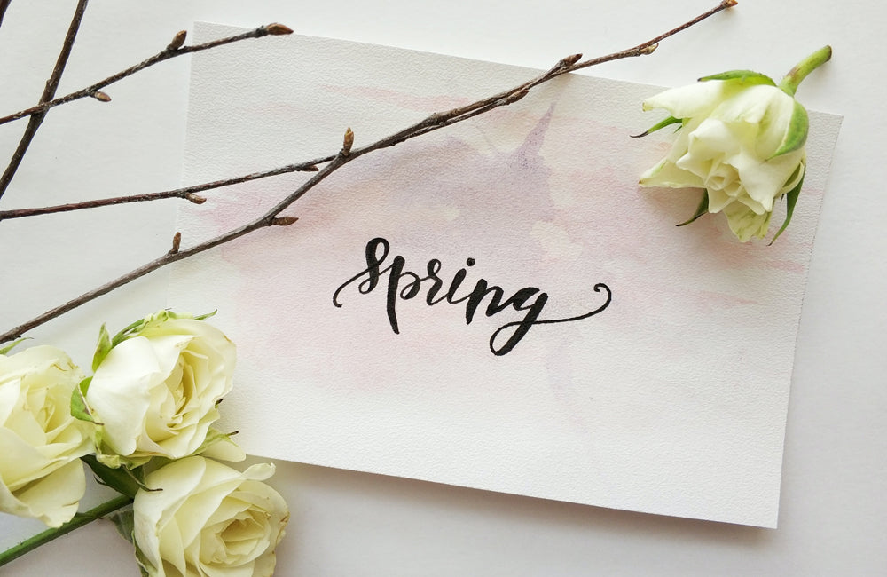 Watercolour paper with the word "spring" written on it, with branches and a white rose on top.