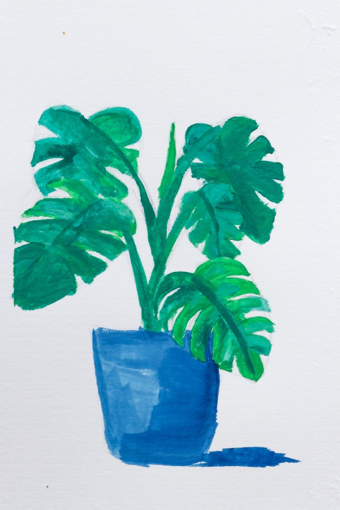 Artwork of a pot plant painted in gouache.